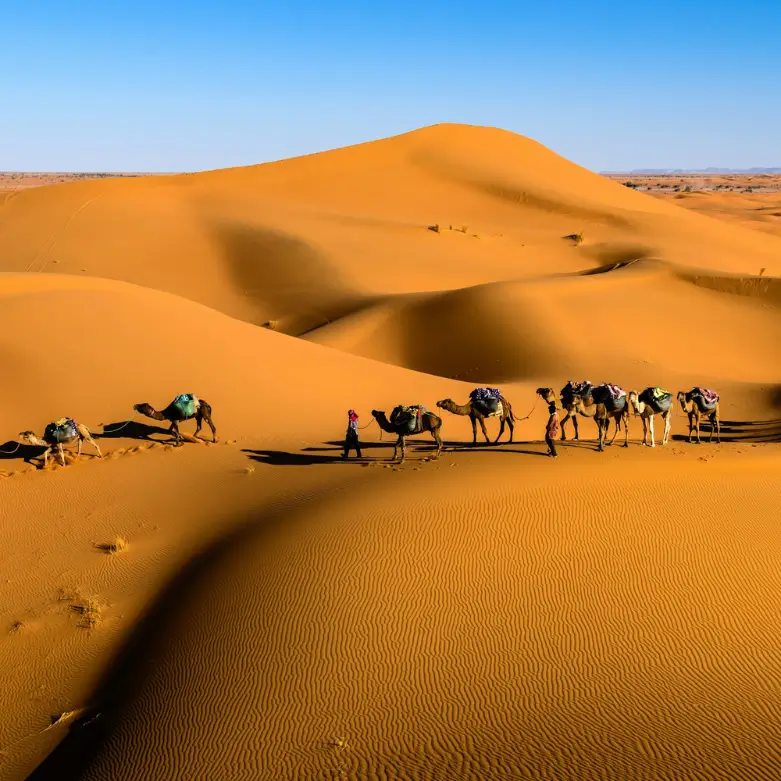 Desert Drive